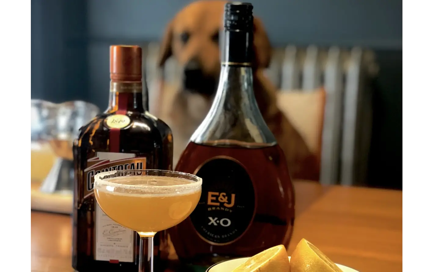 Spencer Albee's Brandy Sidecar