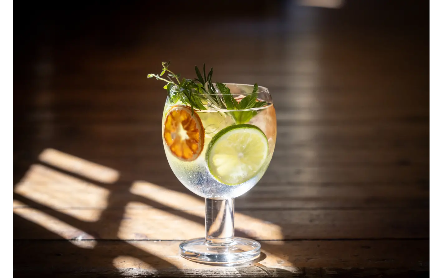 Spanish G & T cocktail.