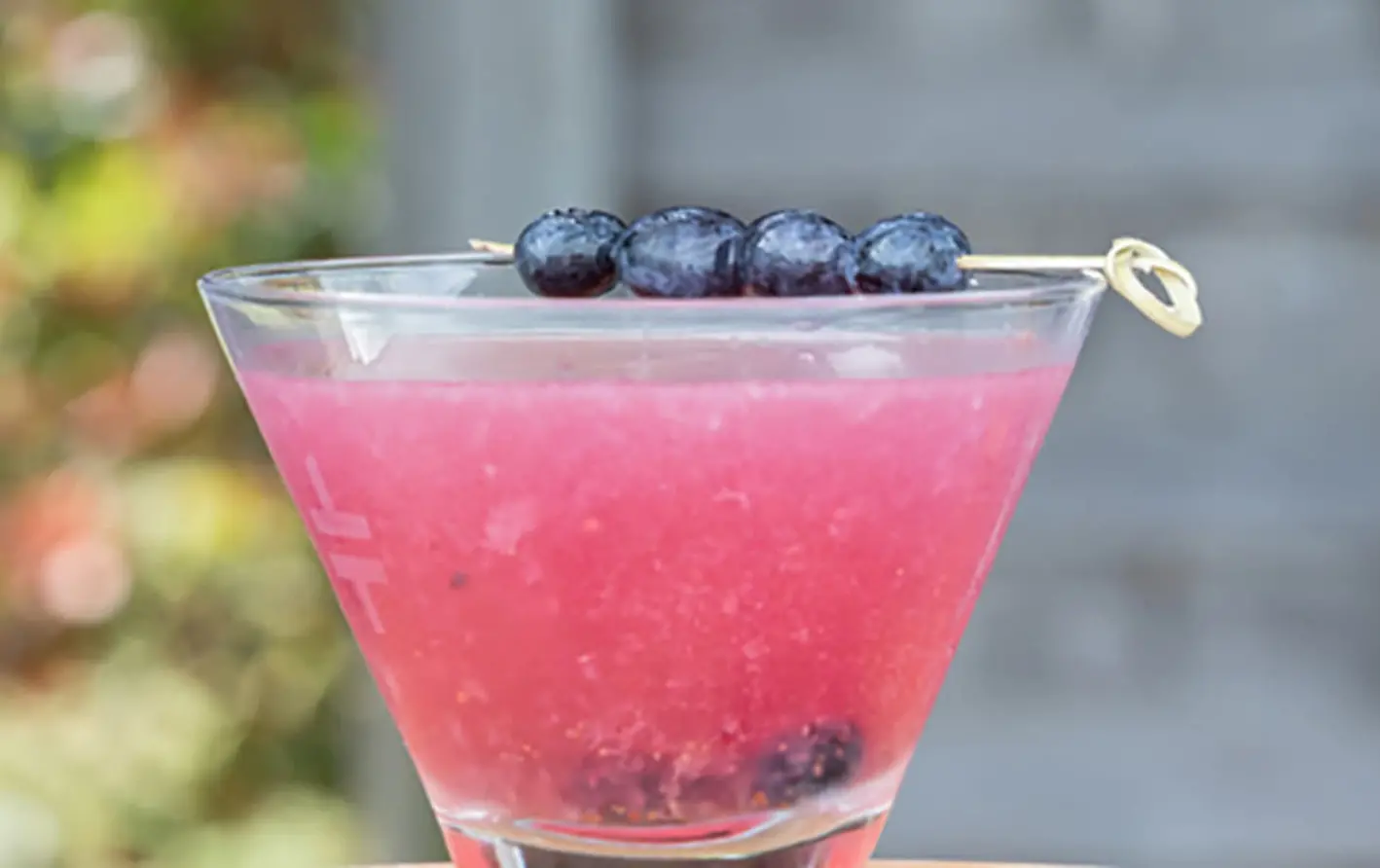 Wild Blueberry Martini