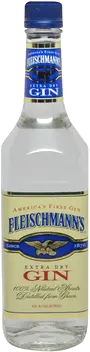 FLEISCHMANNS GIN